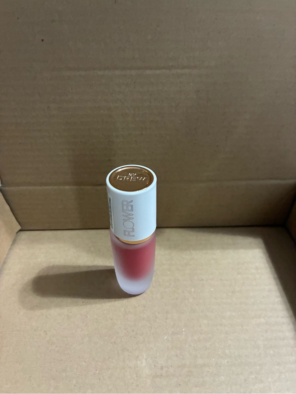 NEW Flower Drew Barrymore Perfect Pout Soft Matte Lip Color Salsa